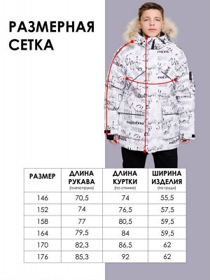 Парка. Цвет: Черный