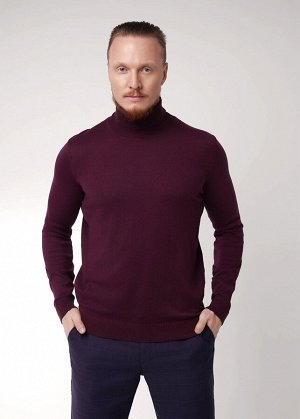 Джемпер. Цвет: т.бордовый