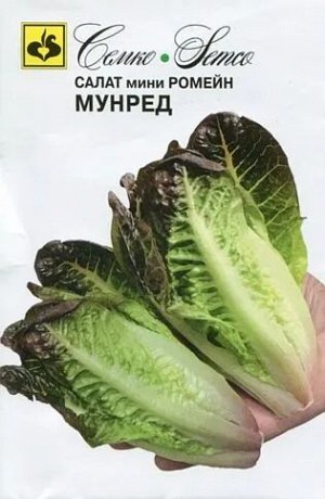 Салат кочанный мини-ромэйн Мунред (ЕВРОЛОГ)