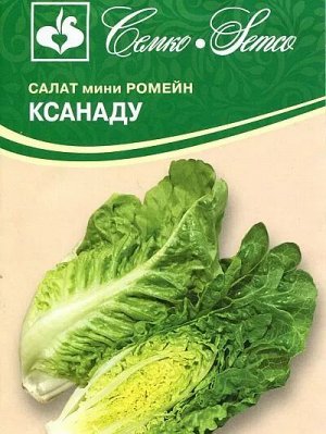 Салат кочанный мини-ромэйн Ксанаду (ЕВРОЛОГ) хит