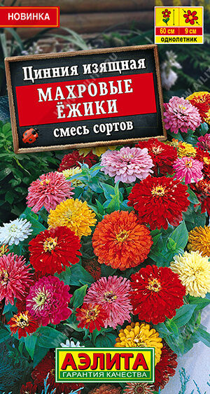 Цинния Махровые ёжики, смесь сортов