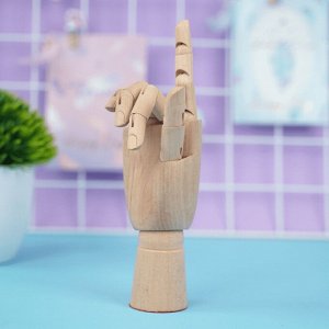 Модель деревянная "Рука" 21,5 см