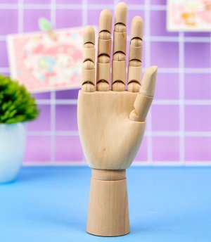 Модель деревянная "Рука" 25,5 см