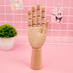 Модель деревянная "Рука", 30см.