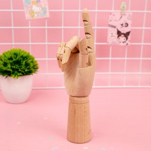 Модель деревянная "Рука", 30см.