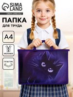 Папка для труда, А4, пластиковая, 33.5x23.5x5.5 см«Котик»