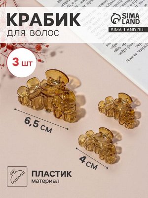 Крабик для волос «Флориана», набор 3 шт., цветы, 6.5 и 4 см, светло-коричневый
