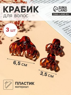 Крабик для волос «Флориана», набор 3 шт., объём, 6.5 и 3.5 см, тёмно-коричневый
