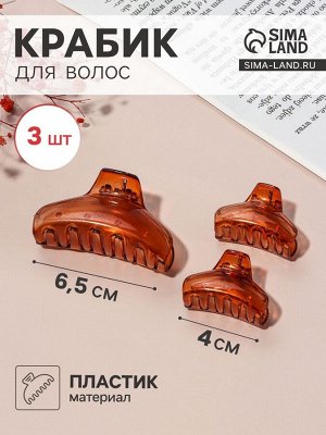 Крабик для волос «Флориана», набор 3 шт., дуга, 6.5 и 4 см, коричневый