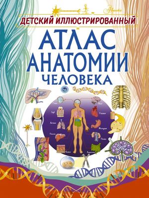 Детский илл.атлас анатомии человека (Спектор А.А.)