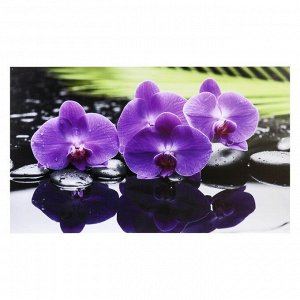 Картина-холст на подрамнике "Орхидеи" 60х100 см
