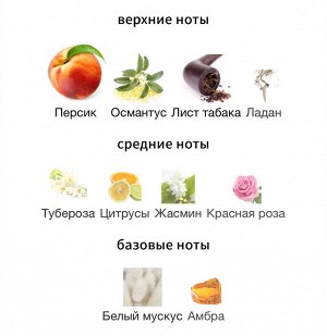 Женские духи The Queen of Sheba Attar Collection 100 мл. Оригинал