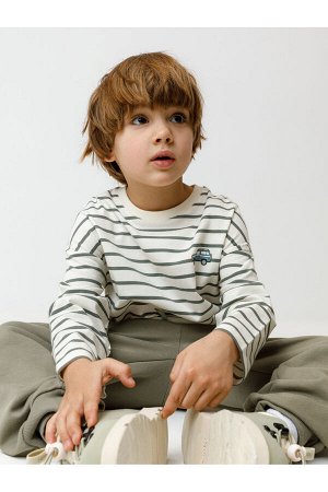 Лонгслив(Осень-Зима)+boys (суровый, пряный базилик, полоска к652)