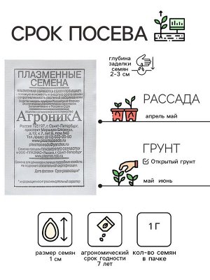 Семена Огурец «Кустовой», 1 г, «Плазмас»