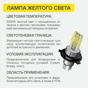 Лампа светодиодная Airline Standart H27W/1, H27W/2  (PG13, PGJ13, T9), 12В, 17Вт (соответствует 27Вт), 3000К, комплект 2 шт, арт. AEAR028