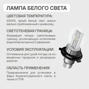 Лампа светодиодная Airline Plus HB3 (9005), HB4 (9006) (P20d, P22d, T12), 12/24В, 28Вт (соответствует 50Вт), 6500К, комплект 2 шт, арт. AEAR105