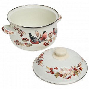 Эмалированная кастрюля AGNESS «Снегири» с крышкой, 2.8 л, 20×12 см, 1 шт.