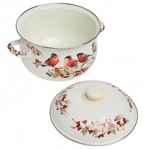 Эмалированная кастрюля AGNESS "Снегири" с крышкой, 3.6 л, 22×13 см, 1 шт.