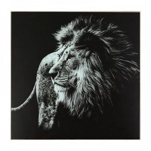 Картина Чёрно-белый лев50*50 см
