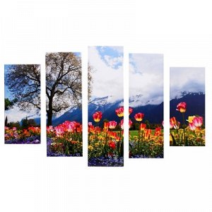 Модульная картина "Тюльпаны цветущие" (2-23х52; 2-24х70; 1-24х80) 120х80см