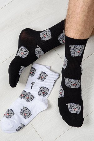 Носки мужские Драматик кот