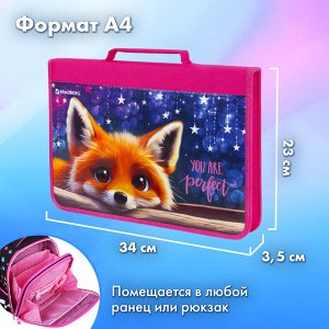 Папка на молнии BRAUBERG А4 с ручкой, с органайзером, 1 отделение, Cute fox, 272217