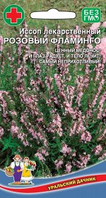 Иссоп Розовый Фламинго лекарственный (УД) Р (многолет.,кулинария,нар.медицина)