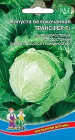 Капуста Трансфер F1 (Марс) (ультраскороспелый, с ранним и дружным вызреванием кочанов)