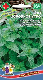 Мята Морозное Утро (УД) Новинка!!!