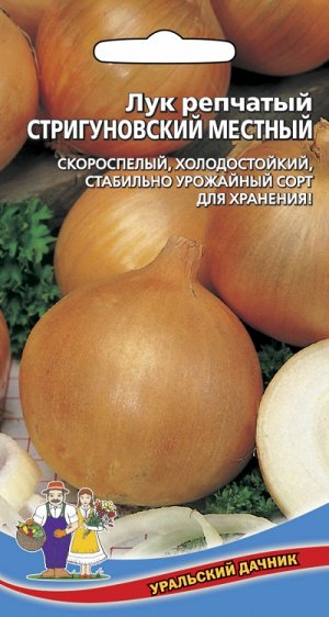 Лук репчатый Стригуновский местный