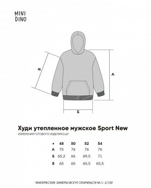 Худи утепленное мужское Sport New мокко