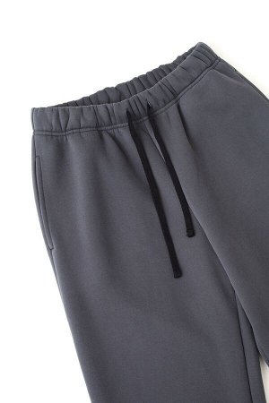 Брюки утепленные мужские Sport New графит