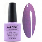 Shellac Canni 067