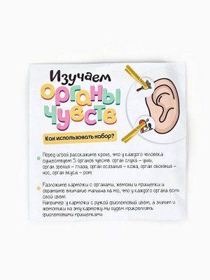 Развивающий игровой детский набор «Органы чувств», 30 прищепок, 3+