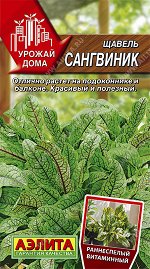 Щавель Сангвиник (2023; 32.12.04)