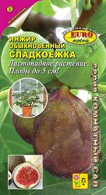 Инжир Сладкоежка обыкновенный (2024; 711.501.01)