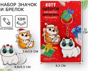 Подарочный набор новогодний брелок+значок.