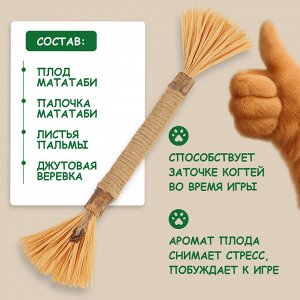 Палочка мататаби с мятой для кошек, для чистки зубов, 1 шт.