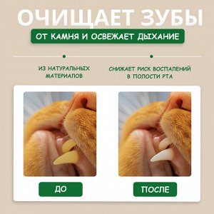 Палочка мататаби с мятой для кошек, для чистки зубов, 1 шт.