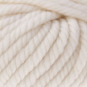 Пряжа "Pure wool plus" 100% шерсть 30м/100гр (208)
