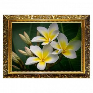 Алмазная мозаика «Плюмерия» 29,5-20,5 см, 25 цветов