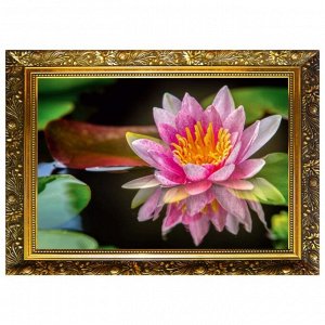 Алмазная мозаика "Божественный цветок" 29,5-20,5 см, 25 цветов