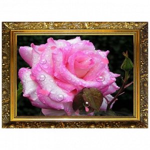 Алмазная мозаика «Розовая нега» 29,5-20,5 см, 24 цвета