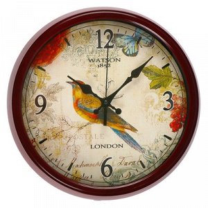 Часы настенные, серия: Животный мир, "Канарейка", коричневая рама, d=33.5 см