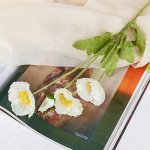 Цветы искусственные &quot;Маки полевые&quot; 6,5*53 см, белый