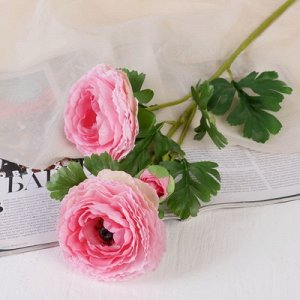 Цветы искусственные "Пион волнистый" три бутона, 11*62 см, розовый