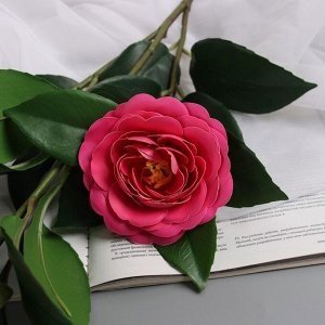 Цветы искусственные «Камелия», h=85 см, ярко-розовые