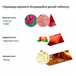Ароматический диффузор Искрящийся дикий гибискус 45 мл