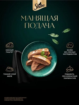 Влажный корм для кошек Sheba Нежный паштет в желе с говядиной 75 г
