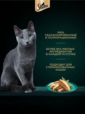 Влажный корм для кошек Sheba Нежный паштет в желе с говядиной 75 г